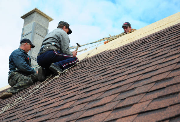 Quick and Trustworthy Emergency Roof Repair Services in Lakeville, MN